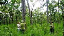State-owned agriculture, forestry farm land needs stricter control
