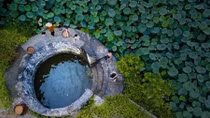 Deputy PM assigns Ninh Binh as host of National Tourism Year in 2021