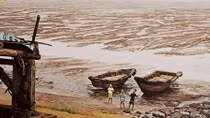 Environment-themed online exhibition features Vietnamese, foreign artists