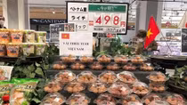 First batch of Vietnamese lychees from 2021 crop exported to Japan 