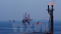 Vietsovpetro taps 5.04 million tonnes of crude oil this year