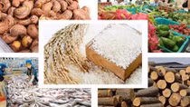 CPTPP to advance Vietnamese farm produce’s foothold in global supply chain