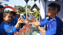 Da Nang Youth Union launches activities responding to World Environment Day