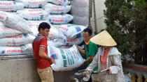 Vietnam uses 11 million tonnes of fertiliser annually