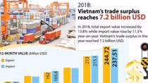 Vietnam’s trade surplus reaches US$7.2 billion