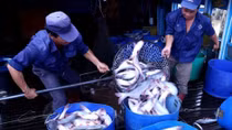 Agro-forestry-fishery exports rise 9.3% in nine months