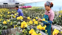 Over 84 percent of Hanoi’s communes gain new-style rural area status