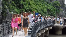 Foreign visitors to Vietnam reach over 8 million