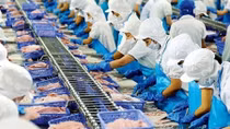 A challenging year ahead for fisheries sector in 2021