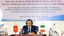 Vietnam, Italy enhance economic ties