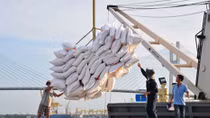 Exports to Algeria up 16%