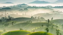 Vietnam’s photography earns rising position globally