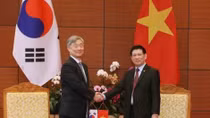 Vietnam, RoK plan joint audit on ASOSAI 14 sidelines