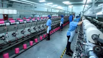 Vietnam successes in inflation control in 2020 