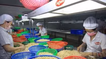 US-China trade war likely to hurt Vietnamese economy