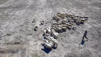 Ninh Thuan faces historic drought