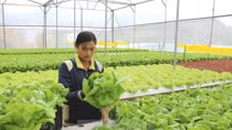 Vietnam's economy needs new drivers for growth