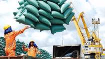 Vietnam likely to rank third in global rice exports in 2022