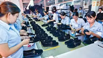 Bright prospects ahead for Vietnam-Canada trade cooperation