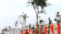 Tree-planting festival greens up localities