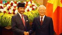 Official welcoming ceremony for Sultan of Brunei in Hanoi