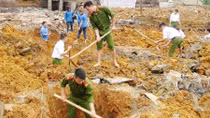 Sunday of Voluntary Activities