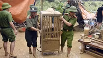 Public Security Forces help people overcome consequences of floods