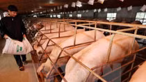 Canada funds food safety project in Vietnam