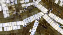 2nd "Vietnamese from above" photo contest launched 