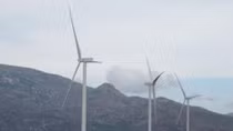 Green economy breeds sustainable development