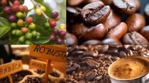 Huge potential for Vietnamese coffee exports to North Africa market