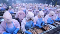 Economists: Vietnam should grasp opportunities in Africa