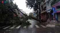 Storm Damrey strikes central and south-central coastal provinces