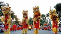 HCM City hosts dragon, lion dance contest during weekends