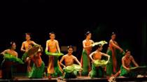Vietnam perform at world folklore festival