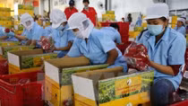 Consistent quality a must for RoK exports