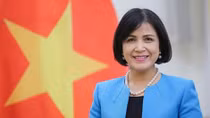 Vietnam attends GICHD’s executive council meeting