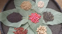 Red Dao’s custom of killing insects