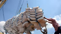 Vietnam, Bangladesh extend rice trade deal