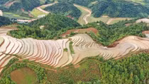 Stunning beauty of Mu Cang Chai terraced fields