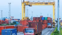 New decree expected to halt temporary import violations