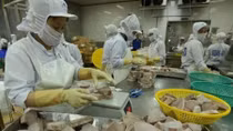 Aquatic product exports likely to rake in US$9 billion this year
