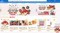 Bac Giang lychees to go on sale through six local e-commerce platforms