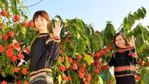 Central Highlands-The kingdom of Vietnamese coffee