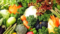 Organic agriculture seeks solutions to grow