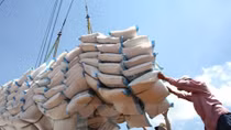 Vietnam earns US$2.2 billion from rice export this year