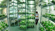 What are the pros, cons of a national brand for agriculture?