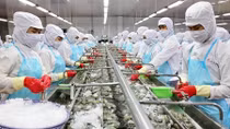 UKVFTA creates more room for bilateral trade links