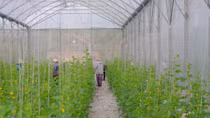 Forum on agricultural product consumption to be held for first time