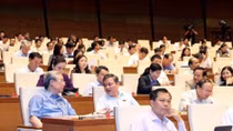 NA deputies give opinions on revised Labour Code
